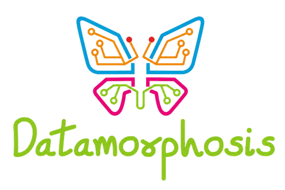 Datamorphosis